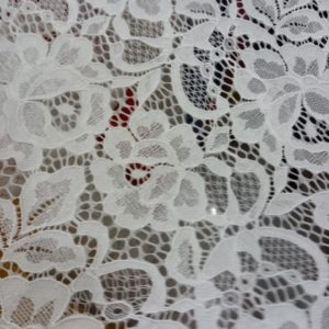 Nylon Spentex All over lace